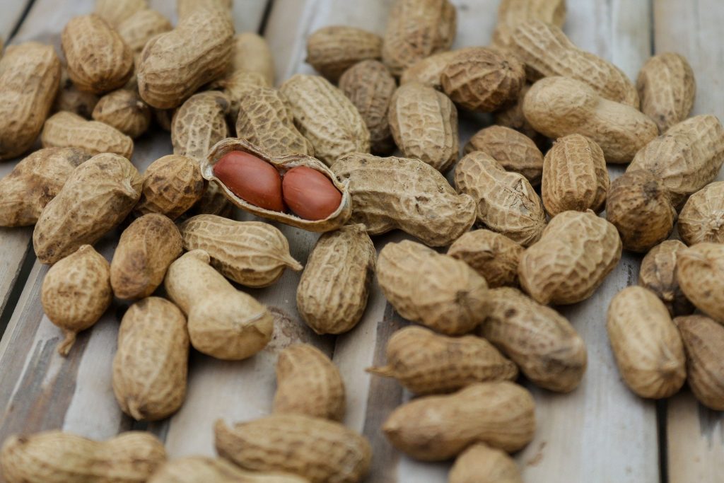 Weaver Nut Company, Inc.’s Bulk Foods Can Boost the Success of Your Retail Store
