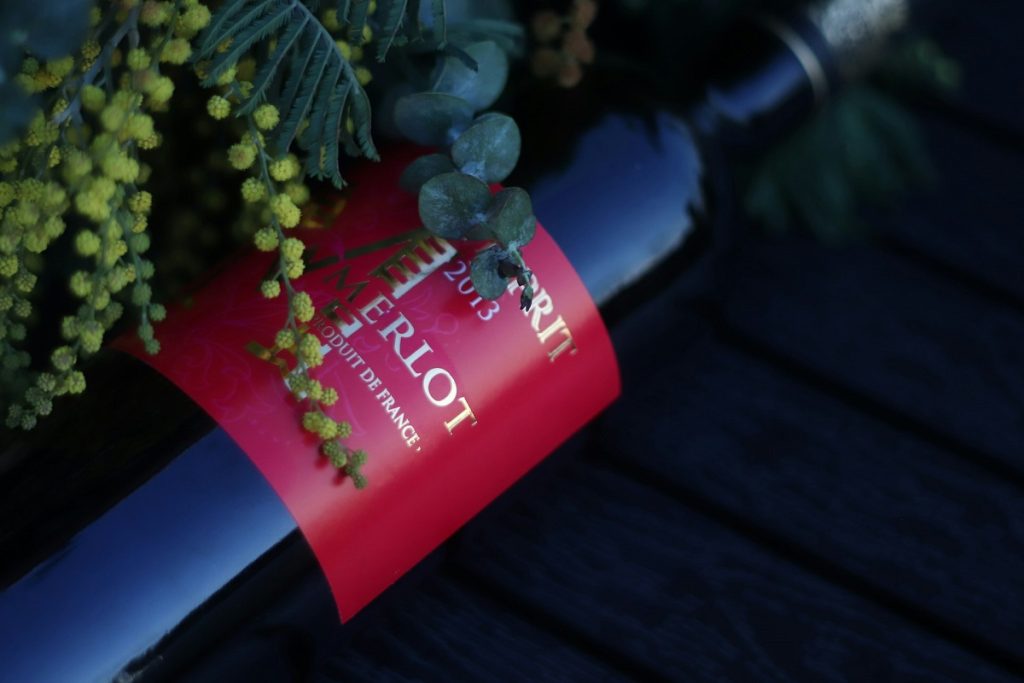 Interesting Facts about Merlot Wine